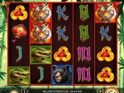 Tiger's Luck